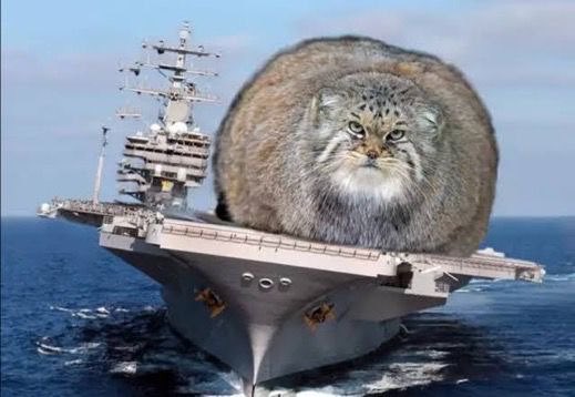 A humorous edited image showing a giant Pallas's cat sitting on the deck of an aircraft carrier at sea.