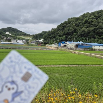 A person holds a card featuring the Pengu mascot against a backdrop of lush green rice paddies, farmhouses, and forested hills, illustrating a rural farm purchase that brings them closer to earning the Pengu Card Enjoyoor Gold SBT.