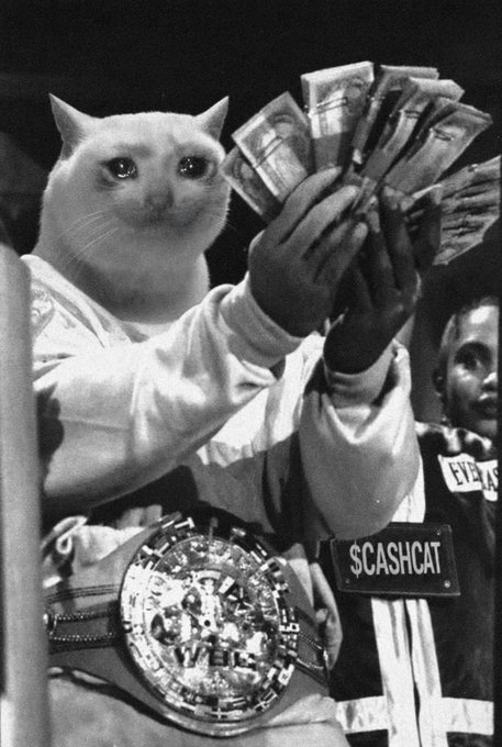 A black-and-white meme photo of a white cat with a human body wearing a hoodie and a large championship belt, holding up wads of cash, with a label reading '$CASHCAT'.