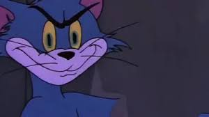 The image features a cartoon cat with an angry expression, looking directly at the camera. The caption below the image reads "BTC自杀美股也摇摇欲坠接下来一周考虑几个事情". This suggests that there might be a connection between the cartoon cat and some form of cryptocurrency or digital currency, possibly related to the content on the post.