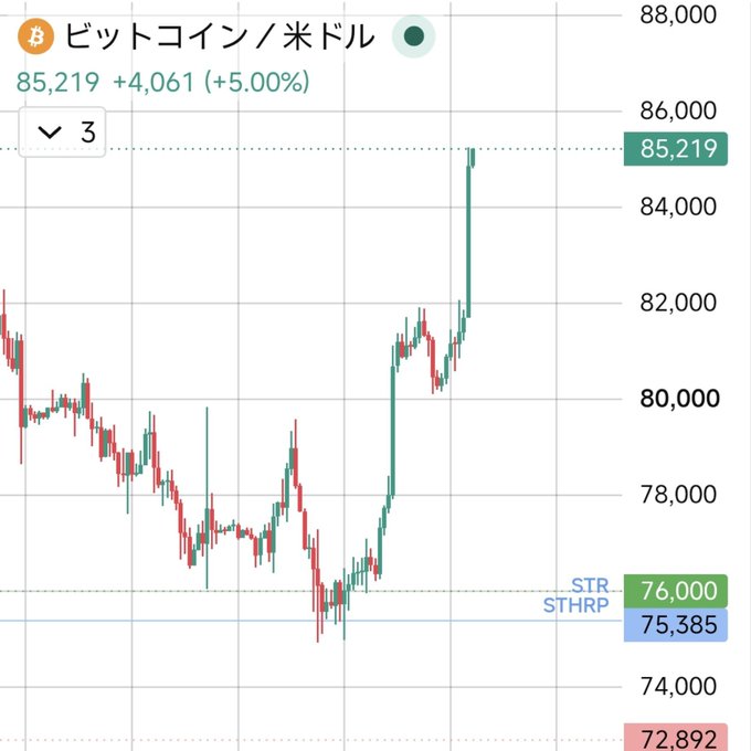 A candlestick chart in Japanese showing Bitcoin/USD ("ビットコイン／米ドル") at 85,219, up +5.00% (+4,061), with strong recent upward momentum.