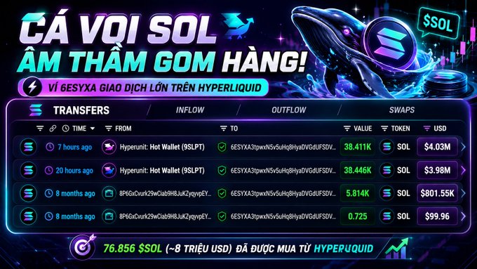 A Vietnamese cryptocurrency graphic reading 'CÁ VOI SOL ÂM THẦM GOM HÀNG!' showing SOL transfer transactions on Hyperliquid worth approximately $4M and $3.98M.