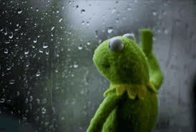 Kermit the Frog stands against a window covered in rain droplets, looking out sadly into the stormy weather.
