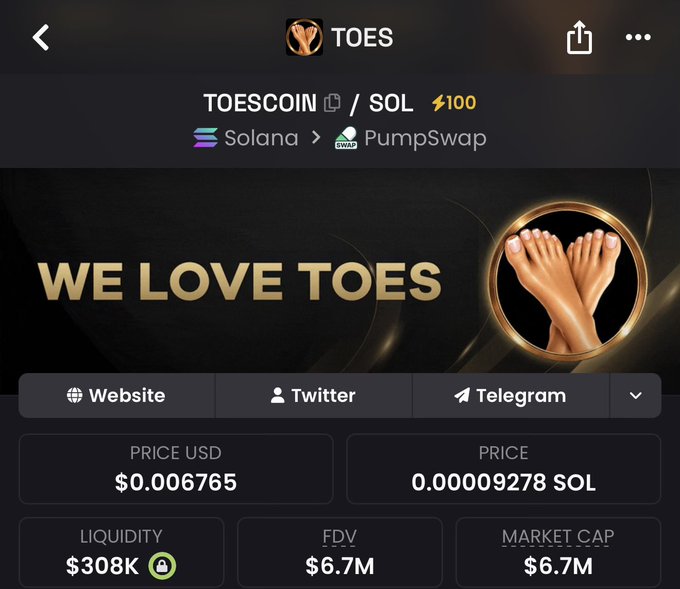 The image shows a token tracking page for "TOES" (TOESCOIN/SOL) on the Solana blockchain via PumpSwap, priced at $0.006765 with a $6.7M market cap and $308K liquidity, featuring the tagline "WE LOVE TOES" alongside an image of feet. It directly relates to the "$toes" reference by displaying its meme coin market data and branding.