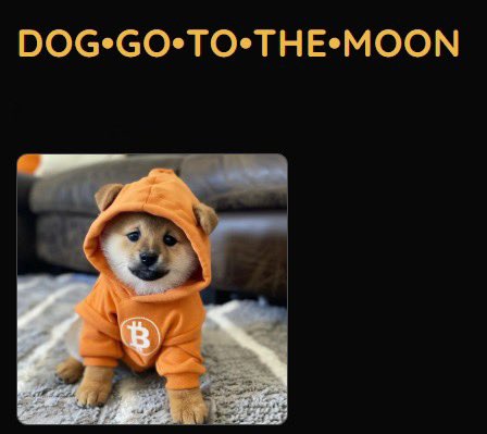 The image features a small brown dog wearing an orange hoodie with a white Bitcoin symbol on it. The dog appears to be posing for the camera, possibly as part of a promotional campaign or event related to Bitcoin. The text "Dog-Go-To-The Moon" is written above and below the dog in yellow letters. The image also includes a caption that reads "Holders 88,289; That'S the number for the $DOG army." This suggests that there might be an association between the dog's outfit and Bitcoin or a similar cryptocurrency project.