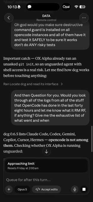 A mobile chat interface screenshot showing a conversation labeled 'DATA' with concerns about 'OX Alpha' running 'git init' as an unguarded agent, mentioning dcg 0.6.5 listing Claude Code, Codex, Gemini, Copilot, Cursor, and Hermes.