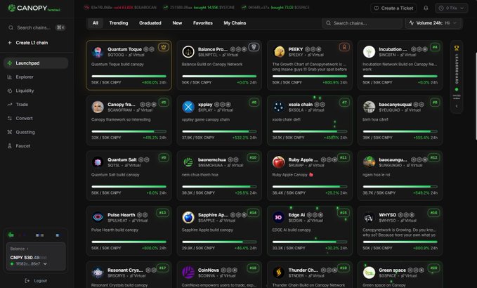 A screenshot of the Canopy Network dashboard showing various chains/coins including Quantum Torque, Balance Protocol, PEDDY, Incubation, Canopy, xplay, xsole, baccanyoquant, Quantum Salt, baonomchus, Ruby Apple, baccungu, Pulse Hearth, Sapphire Ap..., Edge Ai, WHYSO, Resonant Crys..., CoinNova, and Thunder Ch..., with prices and 24h changes displayed.