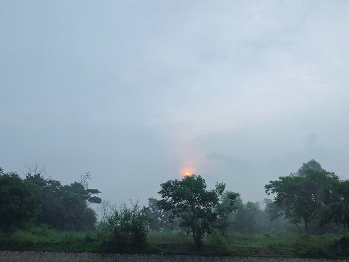 A misty sunrise scene with the sun glowing orange through fog over a rural landscape of trees and grass.