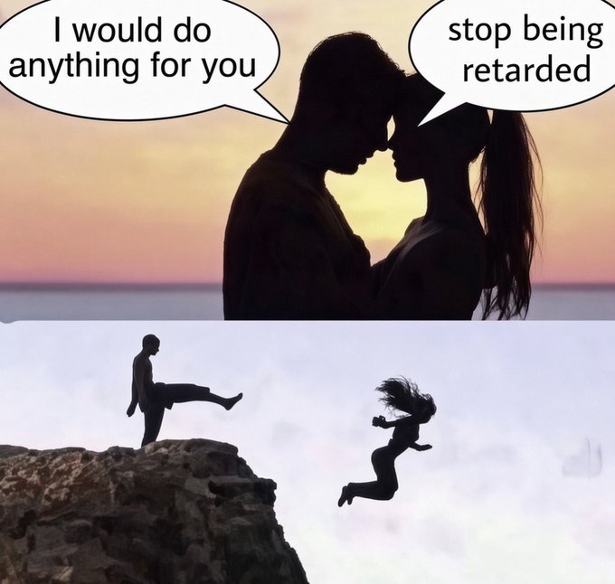 A two-panel meme showing a romantic silhouette couple with speech bubbles 'I would do anything for you' and 'stop being retarded', followed by a panel where the man kicks the woman off a cliff.