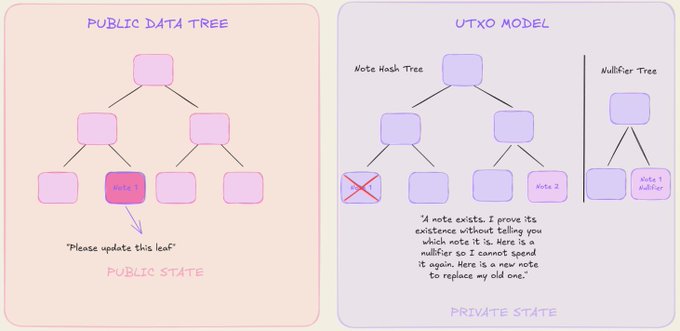 The image shows a comparison of two different types of data structures, one being a Public Tree and the other an UTXD Model. The Public Tree is represented by pink squares with a red circle inside them, while the UTXD Model is depicted in purple squares with a white circle inside them. The text "PUBLIC TREE" is written on the left side of the image, and "UTXD MODEL" is written on the right side.