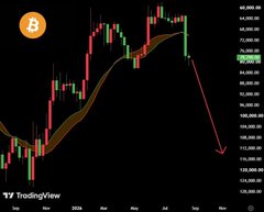 A TradingView chart of the S&P 500 (SPX) candlestick chart shows a sharp upward trend followed by a steep projected decline, with a yellow arrow forecasting a fall from around 71,800 toward 50,000—visually reinforcing the caption "Do it" as a call to act on the anticipated bearish move.
