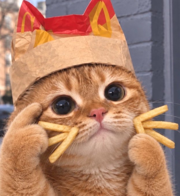 An adorable orange tabby kitten with large, soulful eyes wears a repurposed McDonald's fry bag as a makeshift crown, with its little paws playfully holding up french fries like whiskers on either side of its face. The image ties directly into the post's caption, which humorously positions the kitten as "the new face of finance" with the ticker $MCCAT, suggesting it's a parody of a stock mascot and a crypto meme coin based on a cat eating McDonald's fries. The "I'm loving it" tagline—a classic McDonald's slogan—cleverly doubles as commentary on the meme, blending fast food branding with internet meme culture and finance humor.