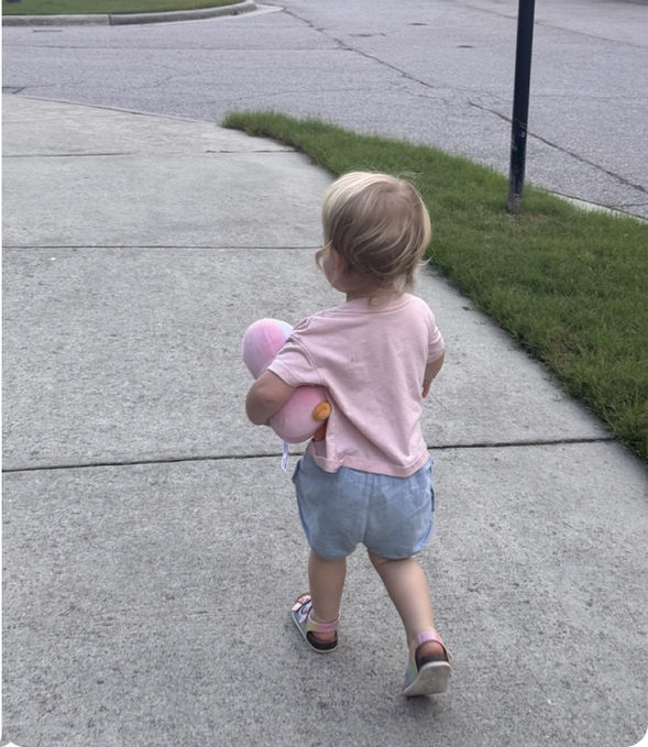 A young blonde toddler walks along a sidewalk clutching a pink plush toy, matching the post about her beloved "Pudgy Penguins" companion she carries on their daily walks.