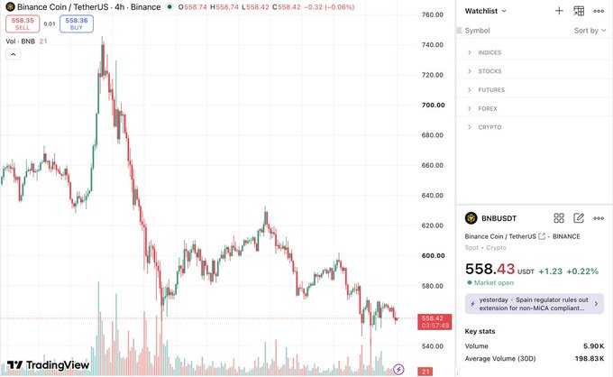 The image shows a TradingView 4-hour chart of BNB/USDT (TetherUS) on Binance, with the current price at $558.43, illustrating the bearish structure described—price has fallen from a spike near $740 to around $558, a ~25% drawdown, with no clear reversal signal yet visible on the candlestick pattern.