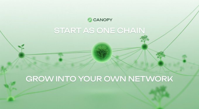 Canopy promotional graphic with green botanical design featuring the tagline 'START AS ONE CHAIN, GROW INTO YOUR OWN NETWORK'.