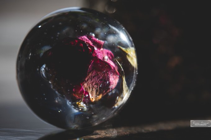 A wilted pink rose is preserved within a clear glass sphere, glowing softly against a dark background, capturing the essence of a treasured moment. The watermark "Faisal Ahmad Photography" is visible in the bottom right corner, reflecting the post's theme of cherishing and protecting fleeting experiences.