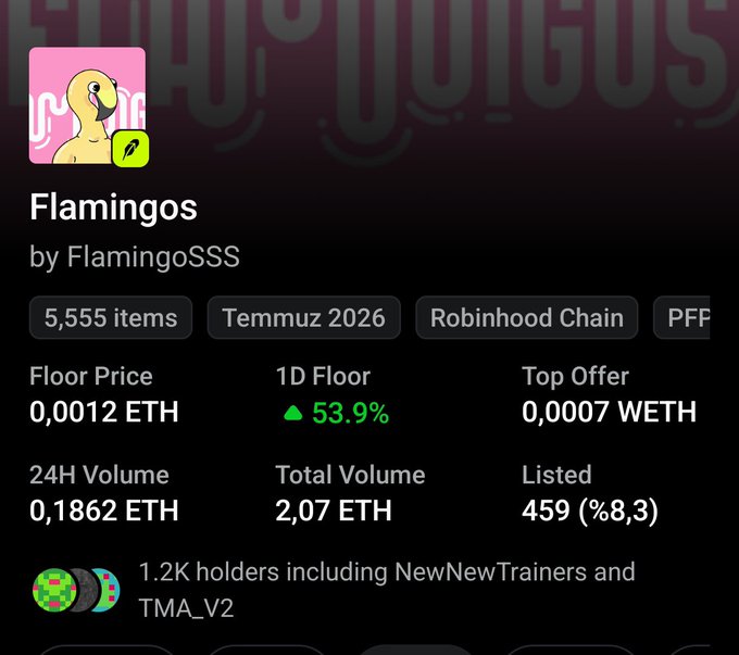 NFT collection listing page for 'Flamingos' by FlamingoSSS on Robinhood Chain, showing 5,555 items, a floor price of 0.0012 ETH, and 1.2K holders including NewNewTrainers and TMA_V2.
