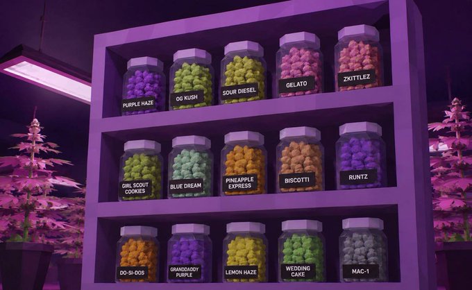 A digital rendering shows a purple-lit display shelf stocked with jars of colorful "buds" labeled with cannabis strain names including "Purple Haze," "OG Kush," "Sour Diesel," "Gelato," "Zkittlez," "Girl Scout Cookies," "Blue Dream," "Pineapple Express," "Biscotti," "Runtz," "DO-SI-DOS," "Granddaddy Purple," "Lemon Haze," "Wedding Cake," and "MAC-1." The image illustrates the in-game achievement referenced in the post, where player "BuiltLikePEPE" became the first to produce 100x Exotic Tier Jars and earned a $1000 $BRICK prize for this hidden milestone.