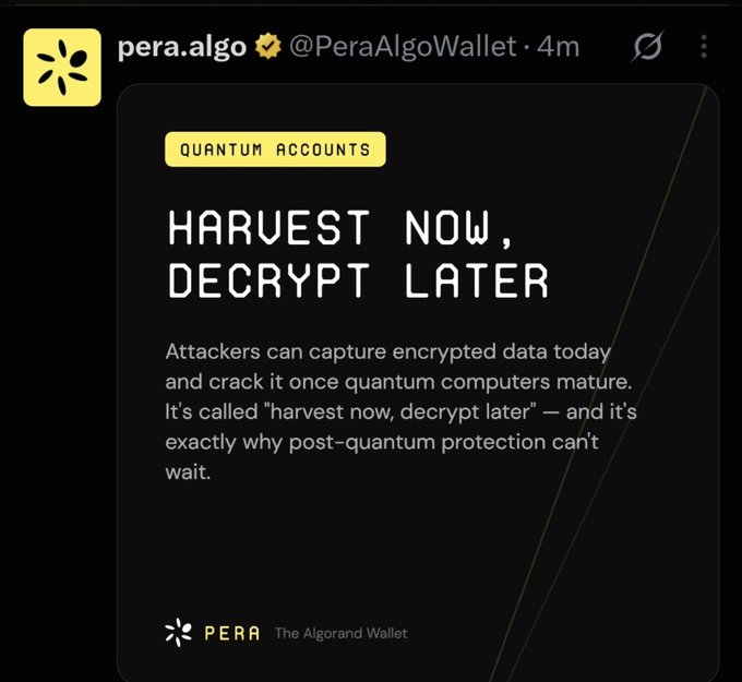 A tweet from Pera Algo Wallet (@PeraAlgoWallet) warns about "Harvest Now, Decrypt Later" quantum threats, explaining that attackers can capture encrypted data now to crack later with quantum computers, emphasizing the urgency of post-quantum protection for Quantum Accounts. The accompanying post appears unrelated, discussing an AI agent deployment on Virtuals.io via Algorand Testnet (App ID: 764393317), suggesting the image serves as a separate informational thread about Pera Wallet's quantum security features rather than directly relating to the agent deployment topic.