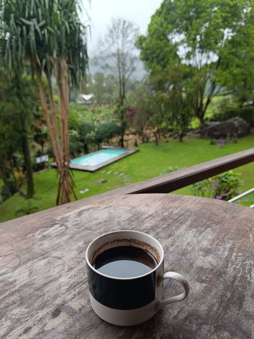 A ceramic mug filled with black coffee sits on a weathered wooden railing, overlooking a lush tropical garden with a small pool in the distance.