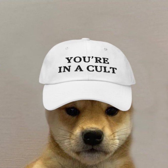 A small brown dog wearing a white baseball cap with the text "YOU'RE IN A CULT" printed in black letters across the front. The dog stares directly at the camera with a serious expression against a plain beige background.