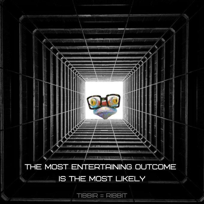 A black and white image of a tunnel perspective with a colorful frog-like character wearing glasses at the center, with text 'THE MOST ENTERTAINING OUTCOME IS THE MOST LIKELY' and 'TIBBIR = RIBBIT' below.