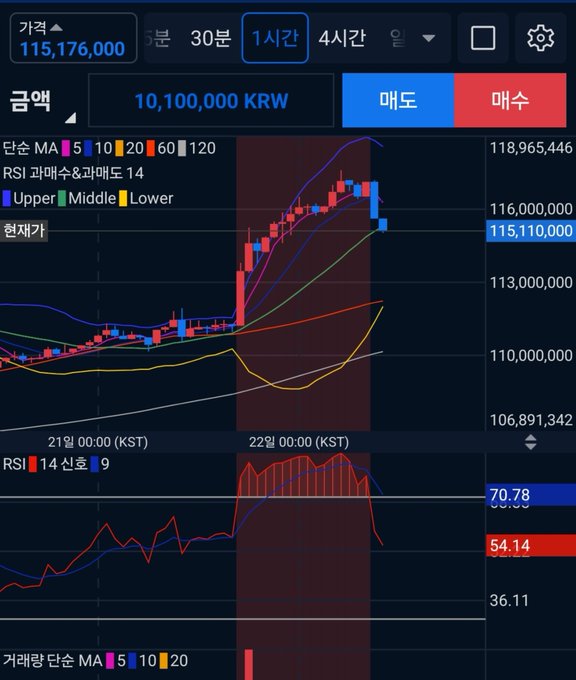 A cryptocurrency trading chart in Korean displays a price of 115,176,000 KRW with candlestick patterns and RSI indicators over a 1-hour timeframe.