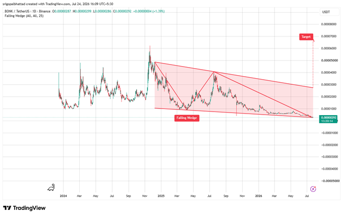 A TradingView chart for BONK TetherUS (BONK/USDT) illustrating a large Falling Wedge pattern from late 2023 through July 2024, with a target marked near 0.00006.
