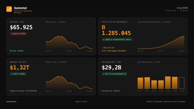 A SatsIntel dashboard titled 'DASHBOARD MERCADO BITCOIN' showing BTC at $65.925, a market cap of $1.32T, 24-hour volume of $29.2B, and 1.285.045 BTC in corporate treasuries.