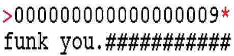 A screenshot of a code or command line interface showing '>0000000000000009*' and 'funk you.###########'.