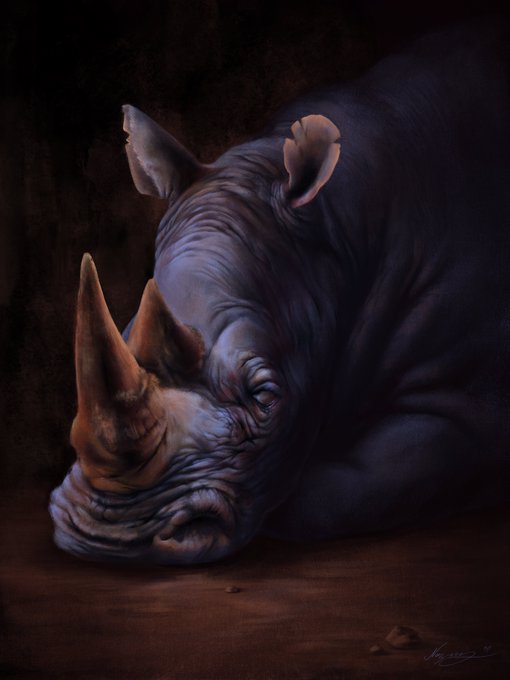 A digitally painted portrait of a resting rhinoceros with its head down, rendered in dramatic low lighting that emphasizes the textured folds of its skin and its prominent horn, with the artist's signature "Anastasia '22" visible in the bottom right corner. The accompanying post praises the artwork and the artist's skill, making this piece a fitting example of the talent being highlighted.