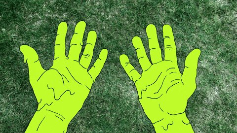 The image features a pair of green hands with their fingers spread out, appearing as if they are reaching for something or about to drop an object. The background consists of grassy terrain that extends into the distance. In the corner of the image, there is text that reads "diamond hands will be built on presora retweet and drop your solana wallet address". This message seems to be related to a social media post where users are encouraged to share their wallet addresses for a charity or cause.

The green hands in the foreground appear to be reaching out towards something, possibly an object or another person's hand. The grassy background provides a natural and visually appealing backdrop that complements the vibrant color of the hands.