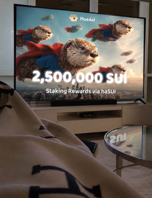 A TV screen displaying an ad for 'Haedal' showing otters in capes flying over a city with text '2,500,000 SUI - Staking Rewards via haSUI'.