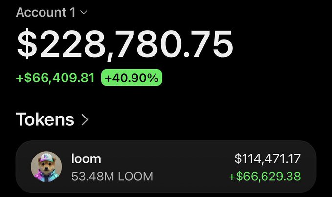 A crypto portfolio screenshot shows an account balance of '$228,780.75' with a +40.90% gain, highlighting a 'loom' token position worth $114,471.17.