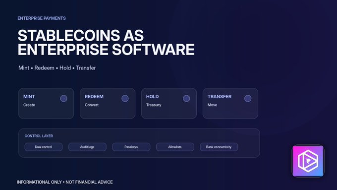 A dark blue presentation slide titled 'STABLECOINS AS ENTERPRISE SOFTWARE' under 'ENTERPRISE PAYMENTS' lists functions: Mint (Create), Redeem (Convert), Hold (Treasury), and Transfer (Move), with a Control Layer including Dual control, Audit logs, Passkeys, Allowlists, and Bank connectivity, marked 'INFORMATIONAL ONLY - NOT FINANCIAL ADVICE'.