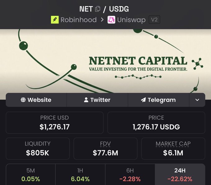 A screenshot of the NET/USDG token page on Robinhood via Uniswap V2 shows NETNET CAPITAL ("Value Investing for the Digital Frontier") trading at $1,276.17 USDG, with a market cap of $6.1M, liquidity of $805k, and a steep 24H drop of -22.62% (alongside -2.28% over 6H), visually reinforcing the post's message about skeptics prematurely dismissing NET during dips.