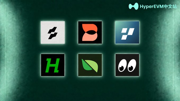 A grid of six project logos on a dark green background with the text 'HyperEVM中文站' in the top right corner.