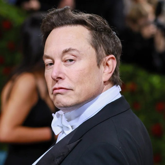 Elon Musk, wearing a black tuxedo with a white bow tie, is photographed at what appears to be a formal red carpet event. The image relates to the post by evoking his well-known influence over meme coin markets, suggesting that celebrity-driven hype rather than technology is often the common factor behind billion-dollar tokens.