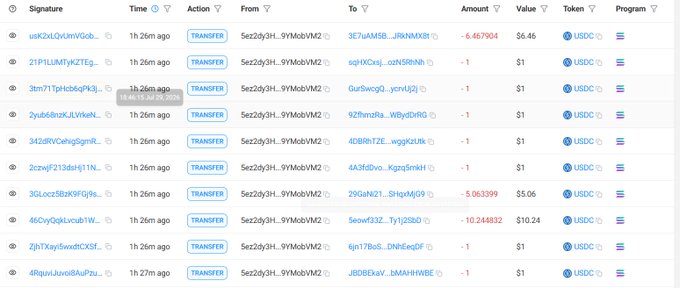 A blockchain transaction history table showing multiple TRANSFER entries in USDC tokens, with most transactions valued at $1, except for a few outliers including one for $6.46 and others with negative values like -$6.467904, -$5.06399, and -$10.244832.
