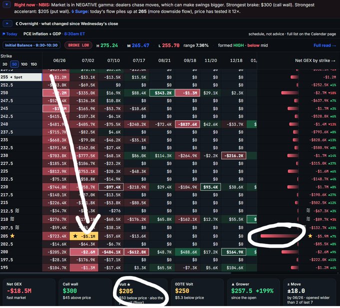 The image shows a Neuberger Berman ($NBIS) options chain highlighting a large $5.1M put position at the $205 strike for next week's expiration (07/02), circled in yellow alongside the corresponding $205 Volt cell also circled at the bottom. An arrow points from the put strike down toward the $205 level, while a circled red bar on the right indicates significant bearish positioning, visually reinforcing the post's thesis that $205 acts as a downside price magnet roughly $50 below the current ~$253 spot price.