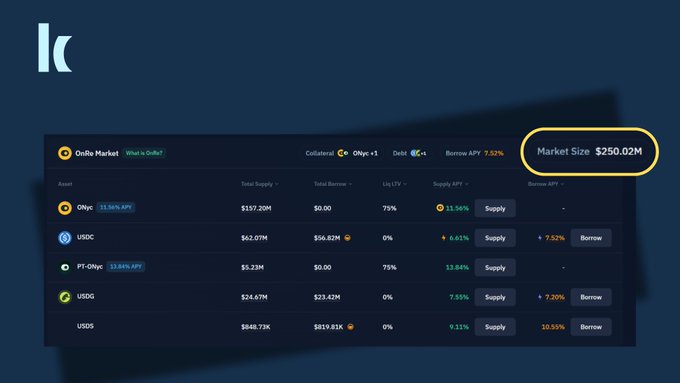 A dashboard for 'OnRe Market' displaying various assets like ONyc, USDC, PT-ONyc, USDG, and USD5 with their total supply, liquidity, and APY rates, highlighting a 'Market Size $250.02M' in yellow.