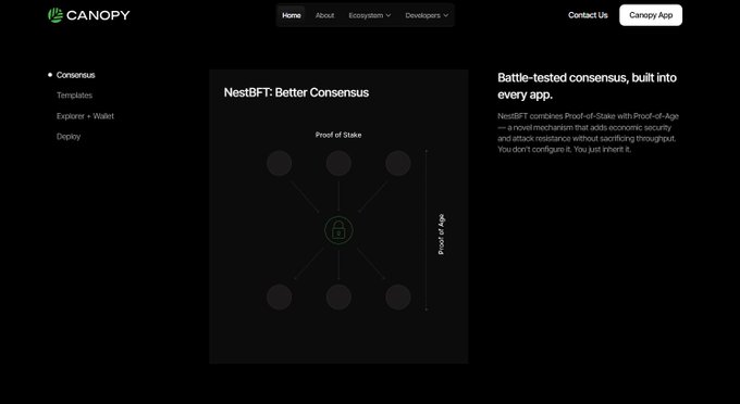 A dark-themed webpage from Canopy Network explains "NestBFT: Better Consensus," highlighting how it combines Proof-of-Stake with Proof-of-Age to add economic security against long-range attacks. A diagram in the center illustrates the Proof-of-Stake consensus mechanism with interconnected nodes surrounding a padlock icon, visually reinforcing the post's message about NestBFT's enhanced security approach compared to traditional PoS systems.