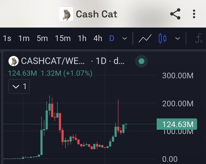 A financial chart for the token 'CASHCAT/WE...' on the Cash Cat platform showing a daily price trend at 124.63M with a +1.07% increase.