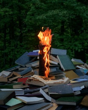 A pile of old books is set ablaze with bright orange flames against a dark forest background, possibly a reference to Fahrenheit 451.