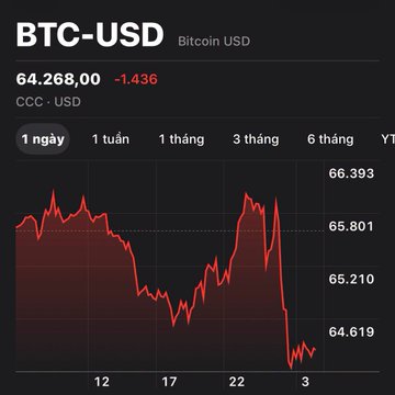 The image shows a black screen with a graph representing Bitcoin's value over time, from 12/31/2012 to 3/31/2013. The value of Bitcoins started at $0.34 per token, but now has decreased to only $0.24 per token. This downward trend suggests that the cryptocurrency market is currently experiencing a decline in value for Bitcoins.