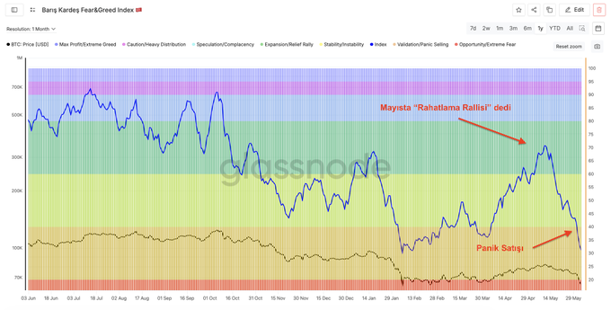 A chart with various colored lines shows a downward trend of Bitcoin's price over time, starting from May until the Panic Selling day, when it reached 10k. The chart also displays a sudden increase in price on a specific day, but this upward surge was not part of the longer decline period. A red arrow points to the month of May, suggesting that the data includes Bitcoin and related analysis related to May.