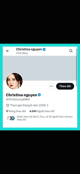 A Twitter/X profile screenshot for 'Christina nguyên' (@Christiany6666), a verified account that joined in August 2026 with 17 posts and 4,041 followers.