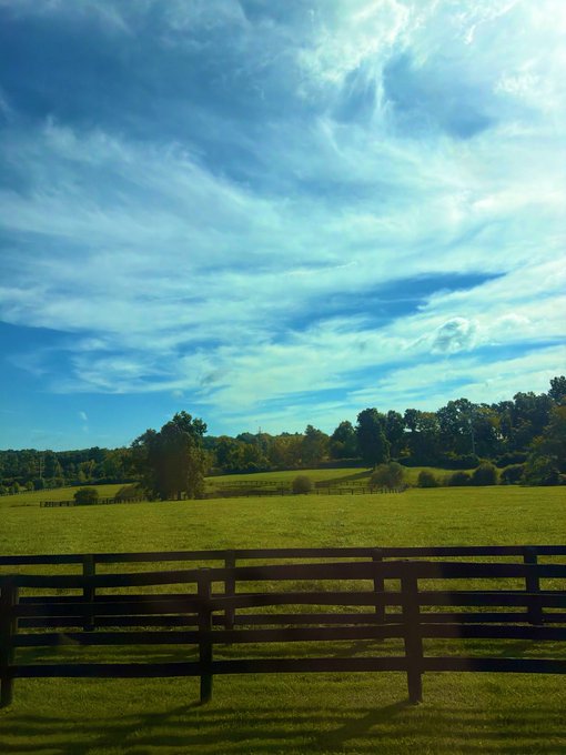 A scenic landscape view of a green pasture enclosed by a black wooden fence, with trees in the distance under a bright blue sky with wispy clouds.