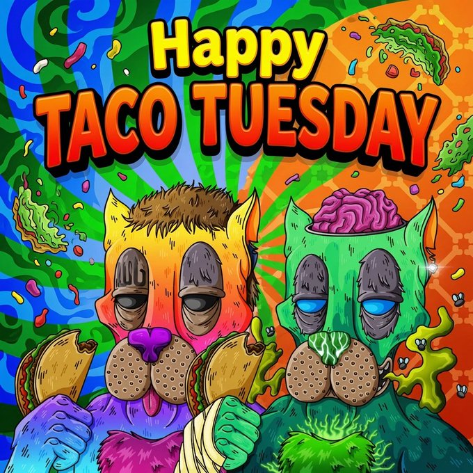 The image features two cartoon cats, one wearing a bandage on its paw, holding up a sign that says "Happy Taco Tuesday!". The other cat has a brain-like shape on its head with eyes closed. The background of the image is a colorful abstract pattern in shades of green and orange. The post also includes a link to a website called "Crypto Pittz" where people can buy or sell NFTs (Non-Fungible Tokens).