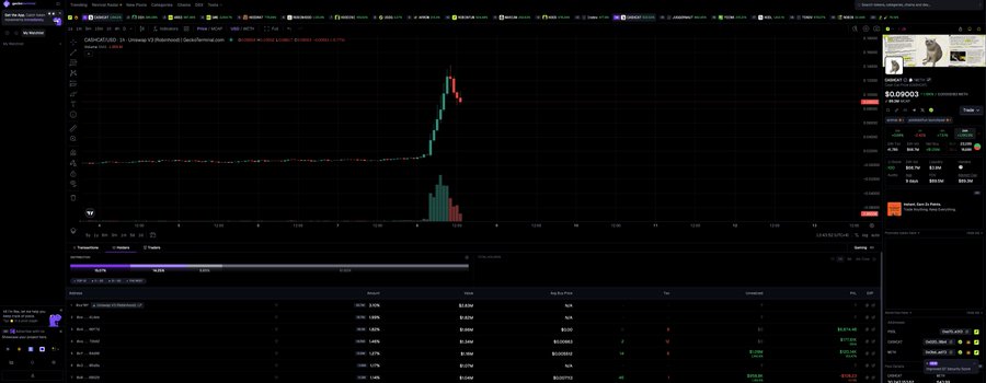 The image shows a TradingView chart for the CASHCAT/USD token on Raydium, displaying a dramatic price spike to $0.09003 with volume bars at the bottom, supporting the post's claim of tracking token holder distribution with real-time market data visible.